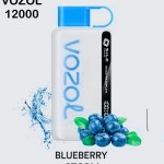 Vozol Star 12000 Puffs Disposable Vape