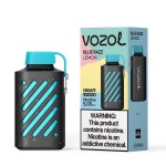 VOZOL GEAR 10000 PUFFS DISPOSABLE VAPE