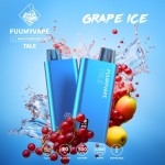 Fuumy 12000 Puffs Disposable Vape