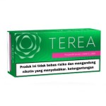 TEREA from Indonesian