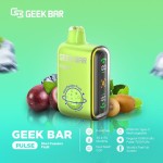 Geek Bar Pulse Disposable 15000 Puffs