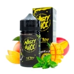 NASTY 60ML E-LIQUID 6MG ALL FLAVORS