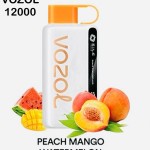 Vozol Star 12000 Puffs Disposable Vape