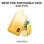 Nerd Fire 8000 Puffs Disposable Vape 2%