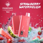 Fuumy 12000 Puffs Disposable Vape